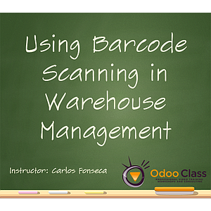 Using Barcode Scanning in Warehouse Management