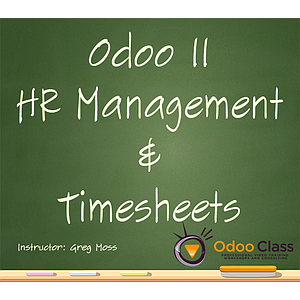 Odoo 11 HR Management & Timesheets