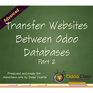 Transfer Websites Between Odoo Databases - Part 2