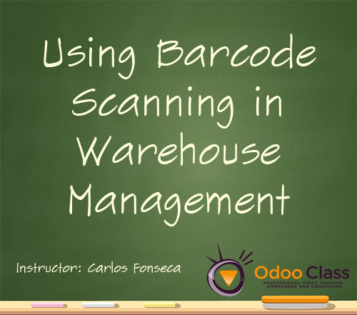 Using Barcode Scanning in Warehouse Management