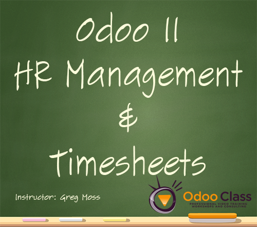 Odoo 11 HR Management & Timesheets
